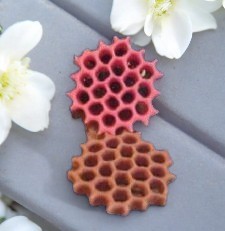 Honey Bee Comb