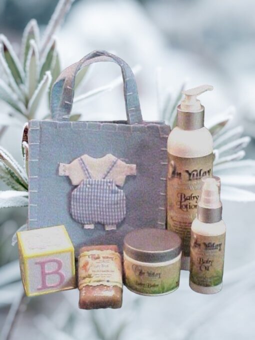 Baby Boy Gift Bag