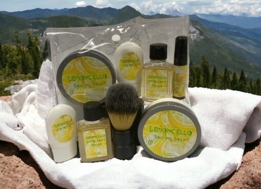 Travel Shaving Kit