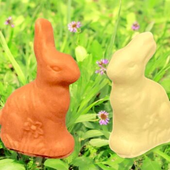 Mini Chocolate Easter Bunny Mold