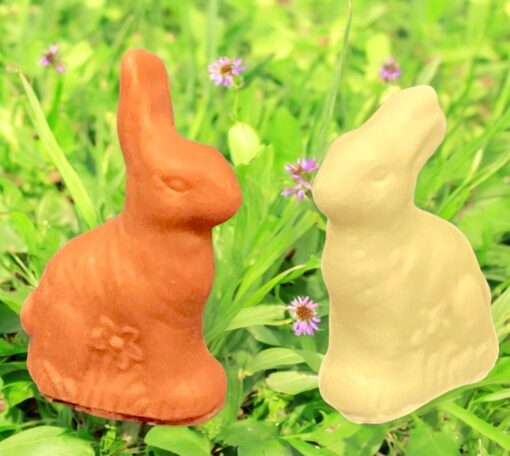 Mini Chocolate Easter Bunny Mold